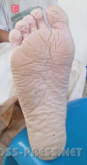 5-44.JPG - Ergebnis einer Sumpfwanderung ...