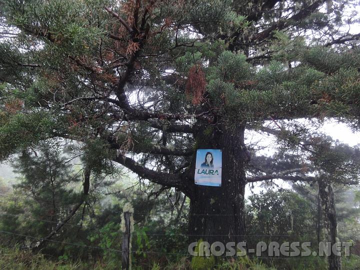 5-88.JPG - Wahlwerbung am Cerro Cabécar.