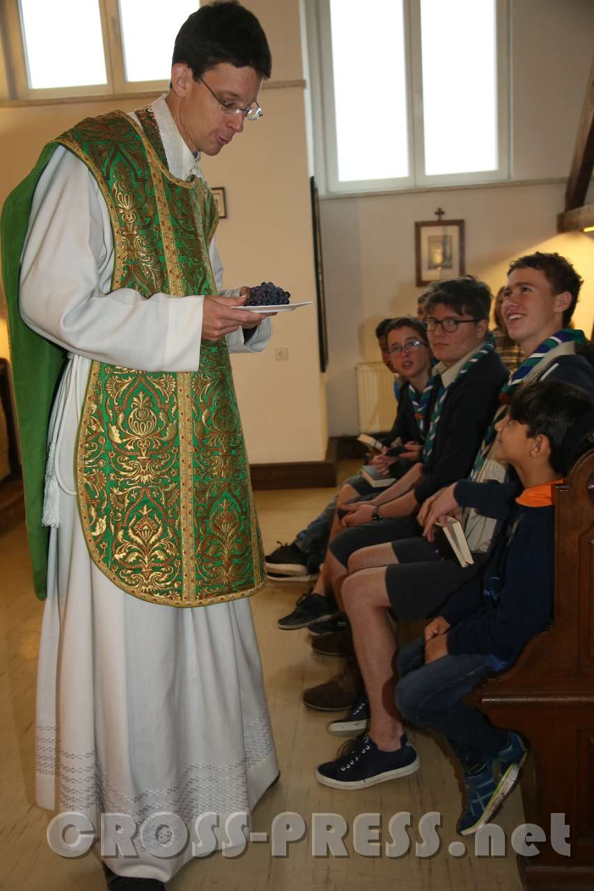 2017.10.08_11.35.20.jpg - Trauben-Predigt