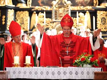 Firmung Seitenstetten 2011 (10h30 Messe)