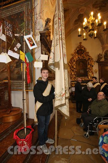 2013.03.21_11.56.07.jpg - Der Baum ist Symbol für das Schulmotto "Wachsen, Reifen, blühen".