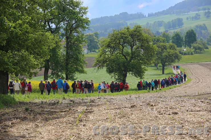 2014.05.04_10.24.20.jpg - Bunte Pilgerschlange biegt um die erste Kurve.  ;)
