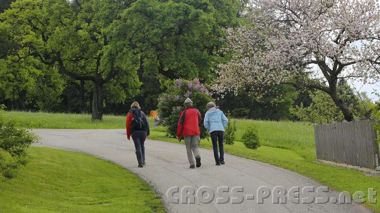 2014.05.04_11.25.36.jpg - Einer der letzten blühenden Obstbäume.