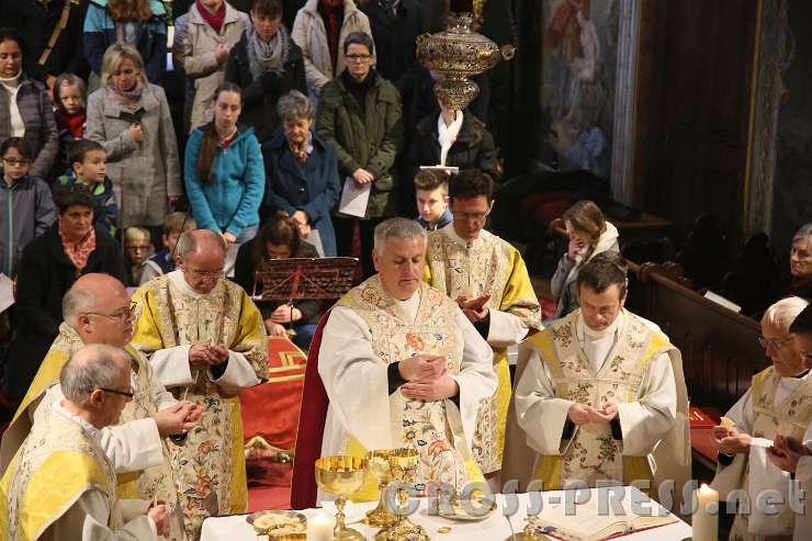 2016.11.06_11.11.44.jpg - Agnus Dei