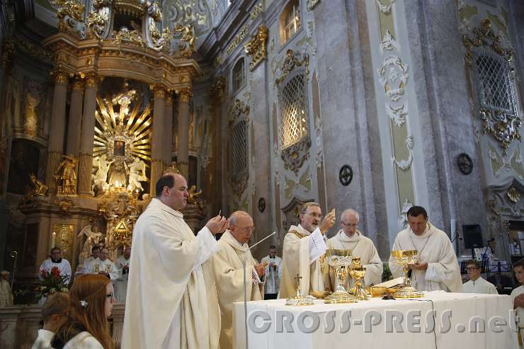 2015.09.06_16.05.44.JPG - Agmus Dei