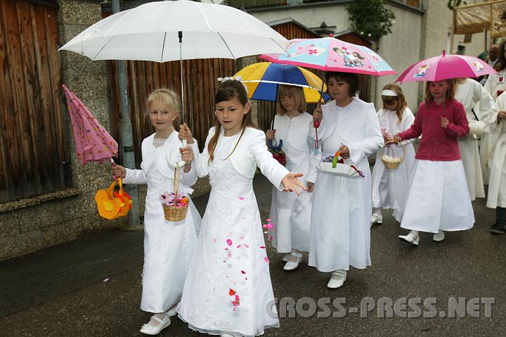 2008.05.22_09.03.41.JPG - Der Weg des Herrn soll ein Bl�tenteppich werden...