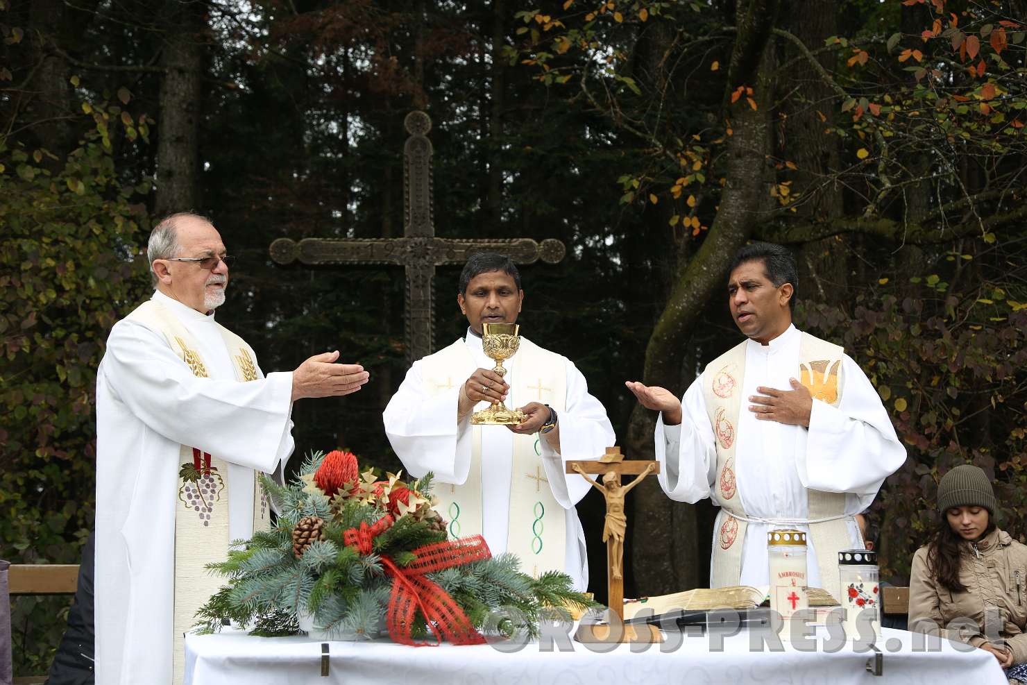 2017.10.26_11.30.11.jpg - Elevation