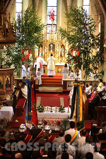 2009.06.11_10.08.25.jpg - Das Fronleichnamsfest wird in der Pfarre H�rm hochgehalten.  Die Kirche wird mit 5-6 Meter hohen Birken geschm�ckt.