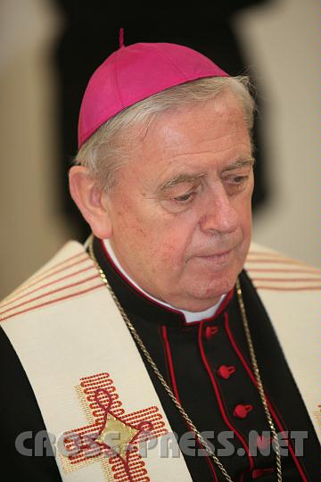 2011.03.19_11.51.06.jpg - Diözesanbischof Dr. Ludwig Schwarz.