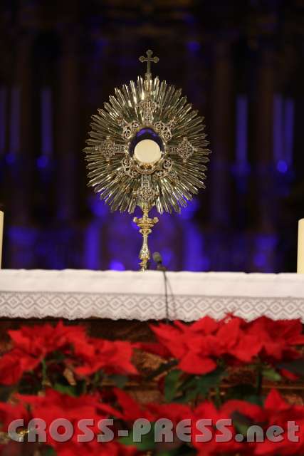 2014.01.17_21.06.47.jpg - Anbetung