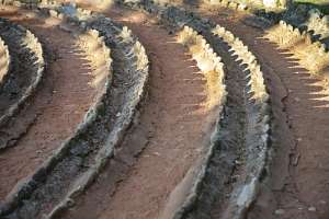 JungFamilienTreffen Pöllau 2015