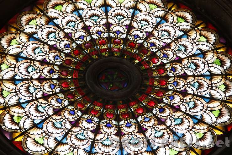 2015.07.29_13.49.24.jpg - Rosette