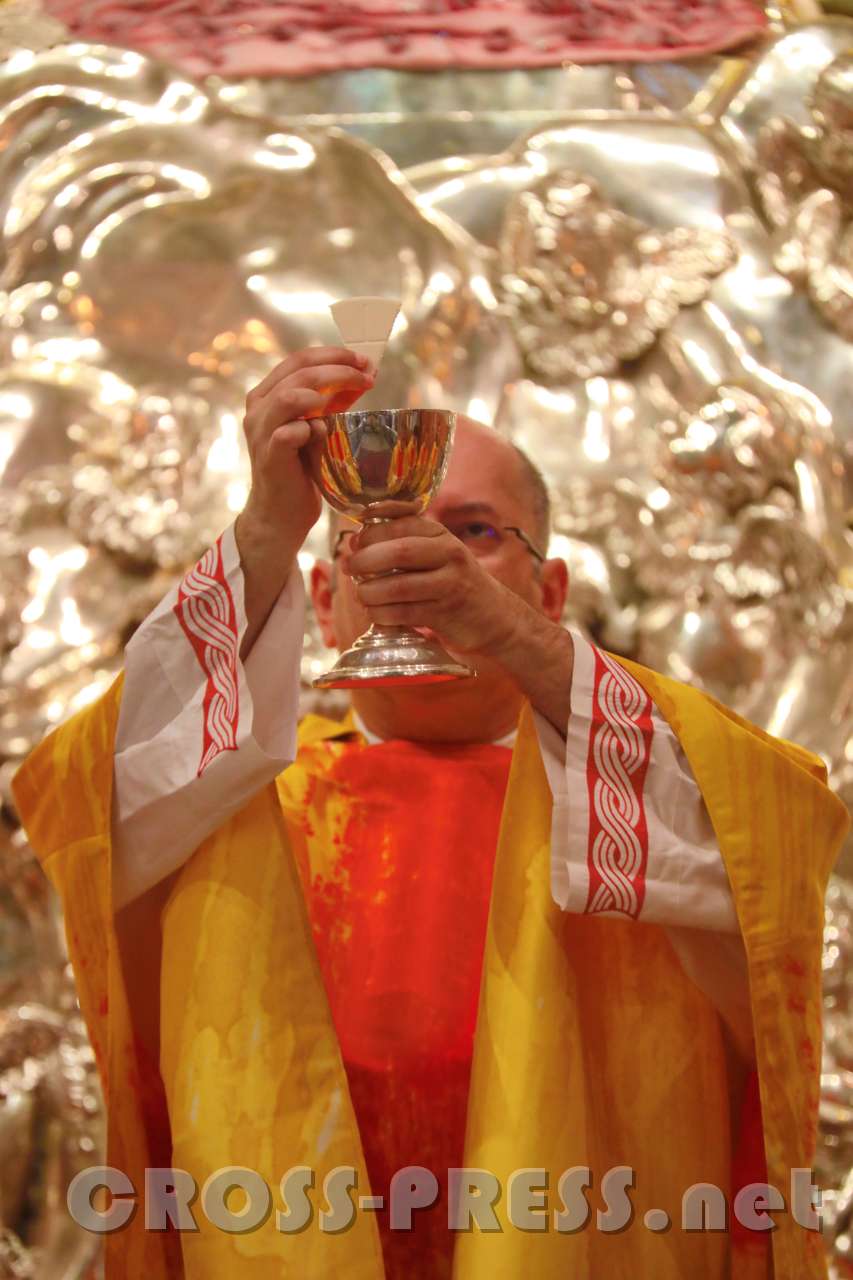 2017.06.24_11.09.43.jpg - Agnus Dei