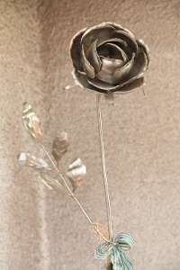 FriedensRose Verleihung 2019