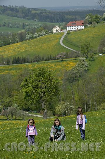 2008.04.27_11.34.30.JPG - So sch�ne Bl�ten gibt es im Mostviertel;)