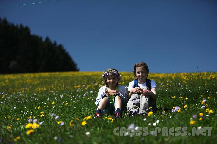 2010.04.25_12.46.11.jpg - Zwei Bl�mchen im Bl�tenmeer.