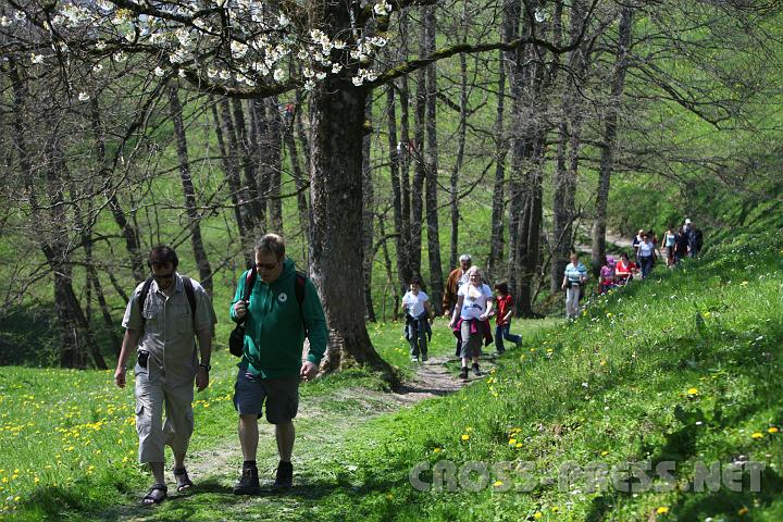 2010.04.25_11.49.38.jpg - Auf den idyllischen Wegen lie� es sich gem�tlich mit Freunden plaudern.