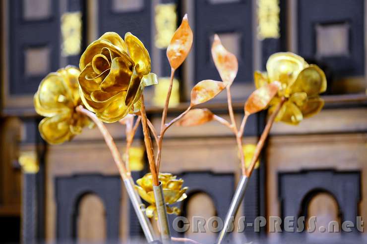 2016.09.04_14.50.34.JPG - Friedensrose