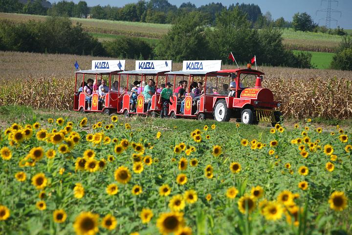 2011.09.25_13.40.35.jpg - Ein bunter Bummelzug fuhr die ganze Strecke durch und sammelte müde Wanderer ein.  :)