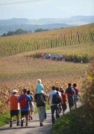 2011.09.25_15.01.31.jpg - Mostviertler Kukuruzfelder, soweit das Auge reicht ... d.h. bis zum Ötscher.